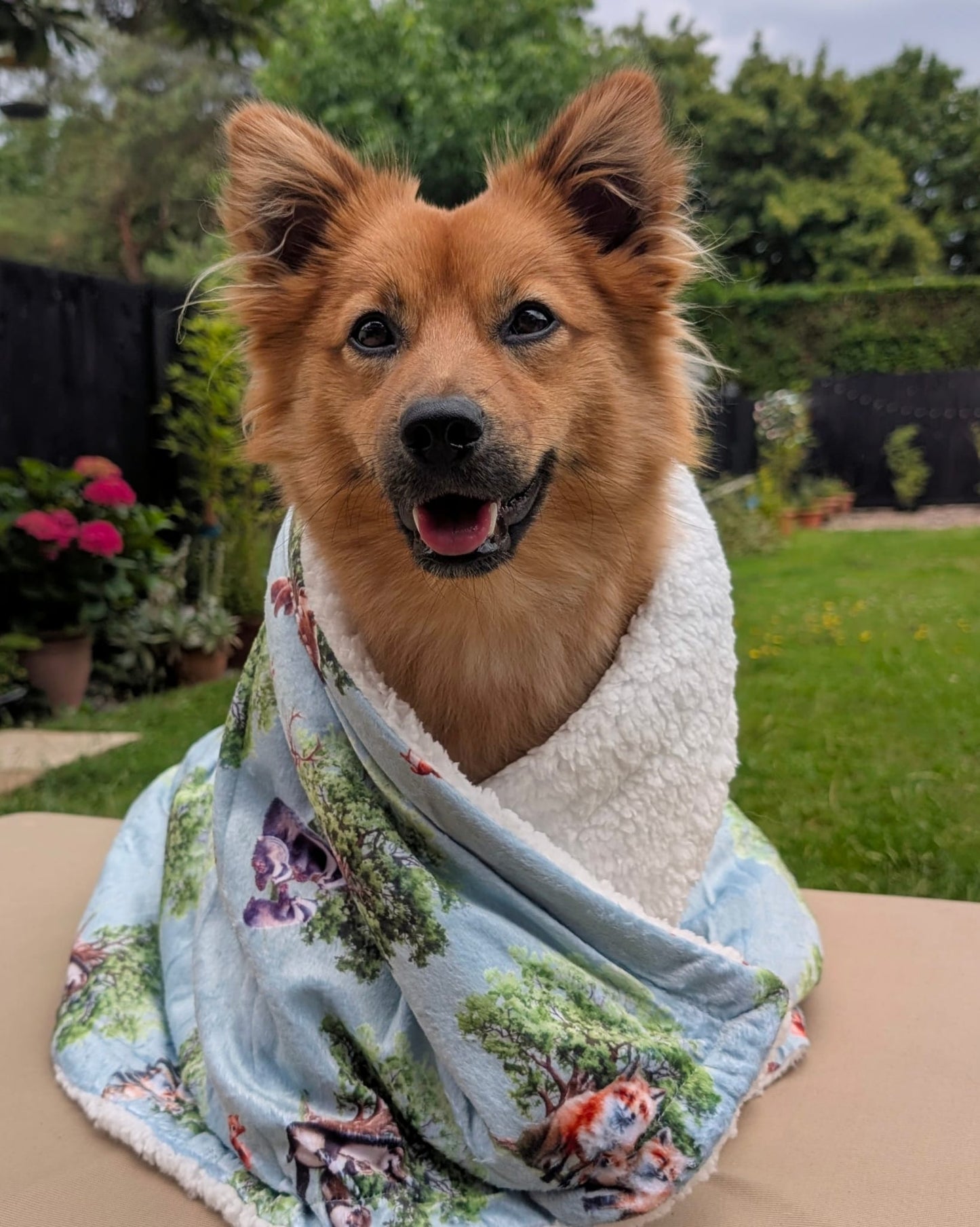 Paws of the Forest snuggle blanket