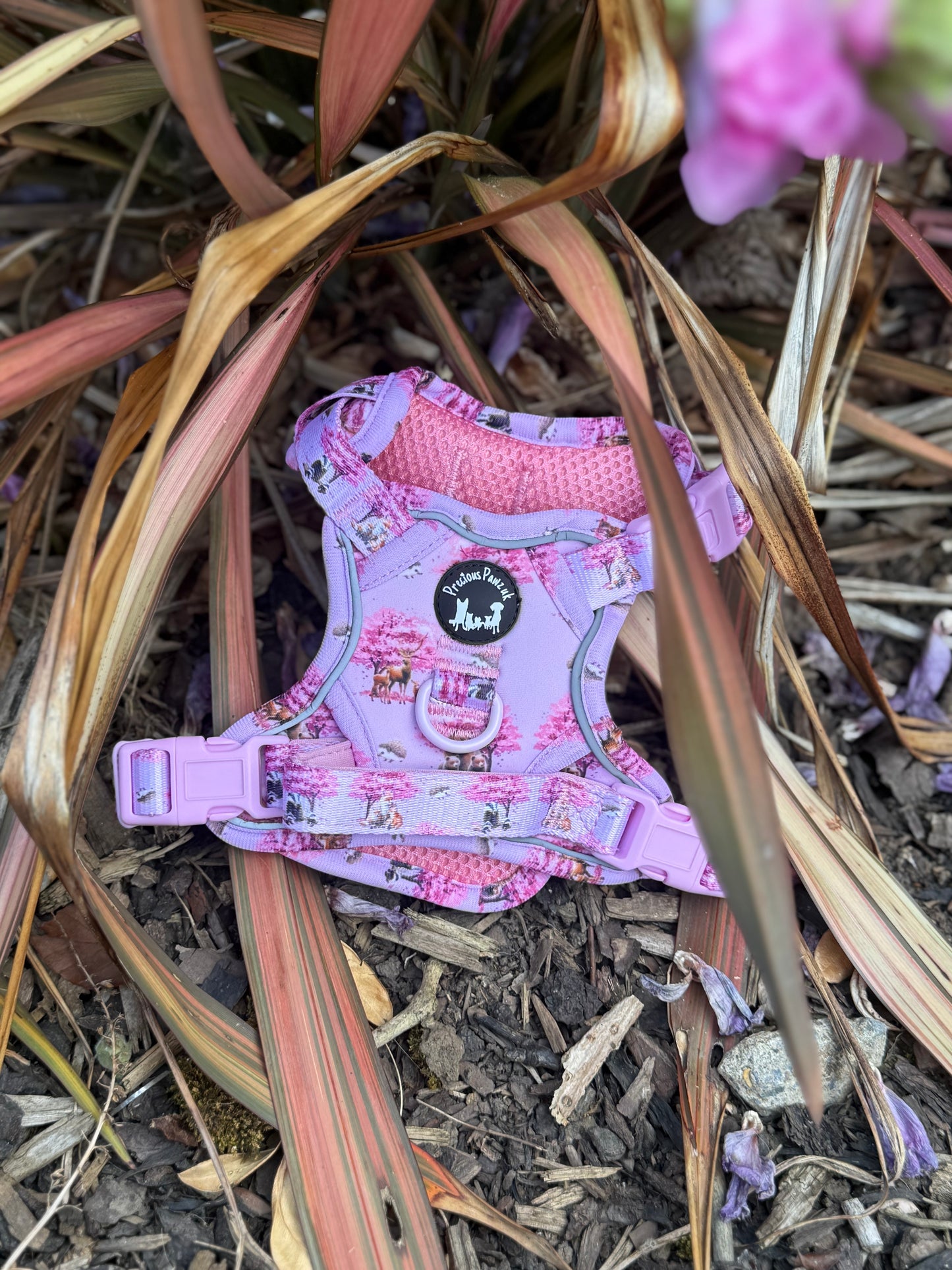 Fleur de belle Explorer pawz harness