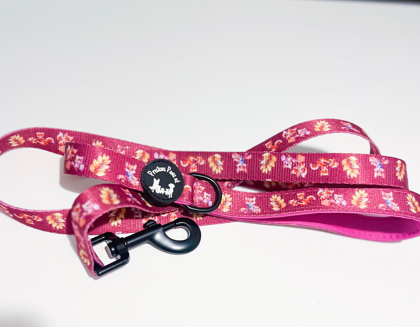 Mystical Fox Meadows Lead