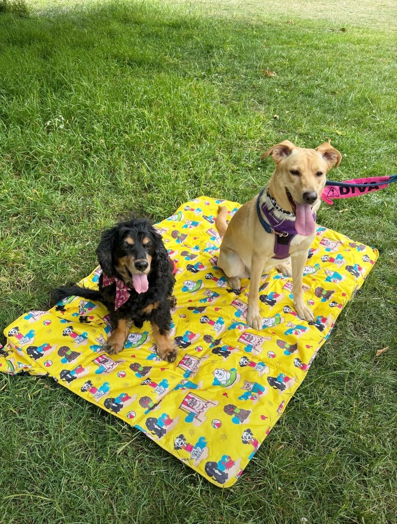 Paws Ashore Travel mat /Picnic mat