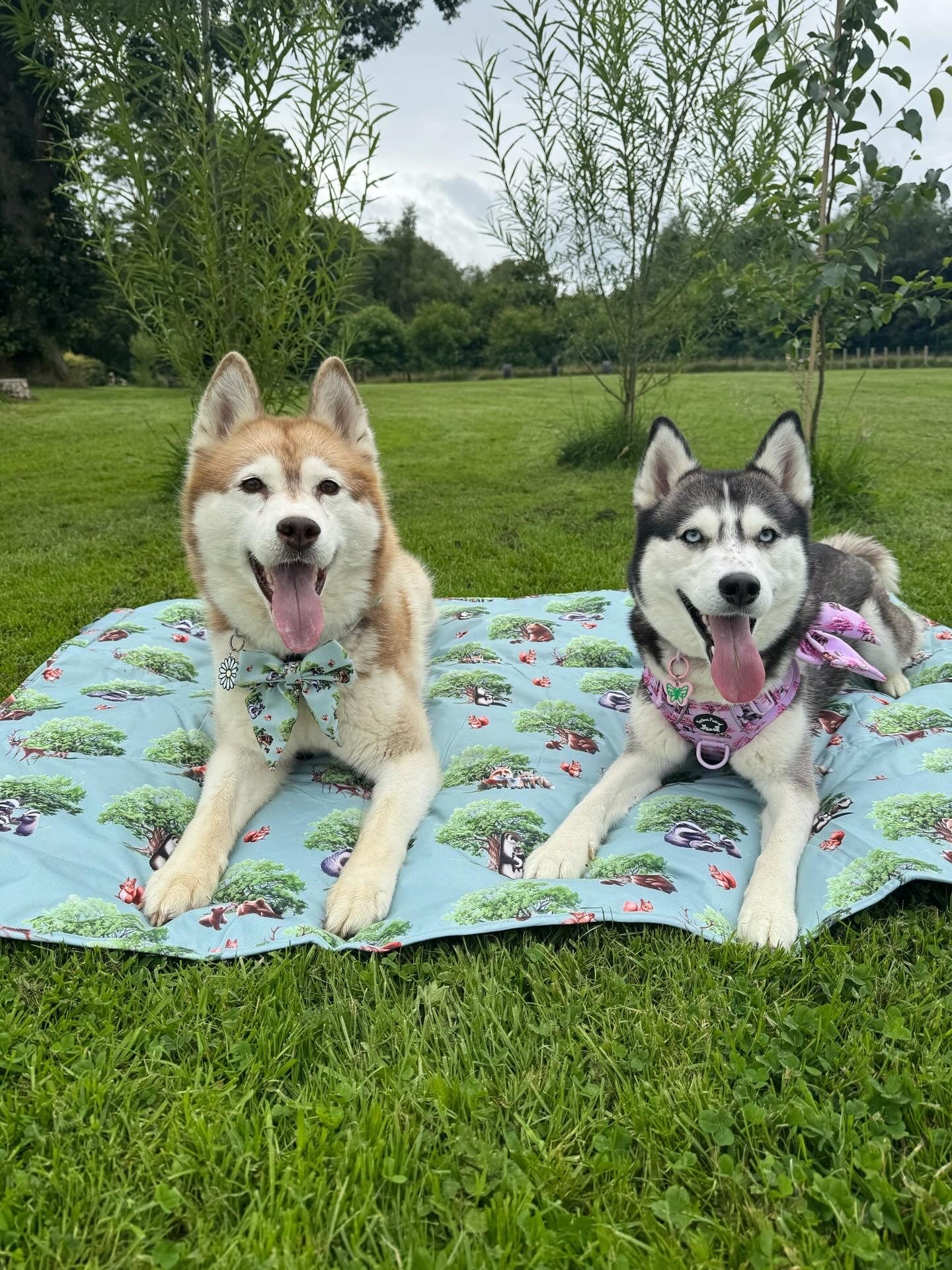 Paws of the Forest travel mat /picnic mat