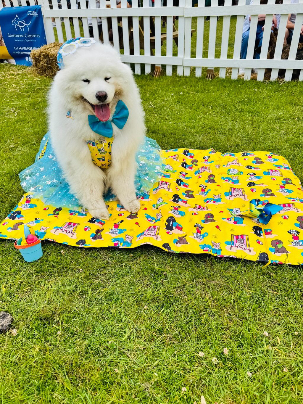 Paws Ashore Travel mat /Picnic mat