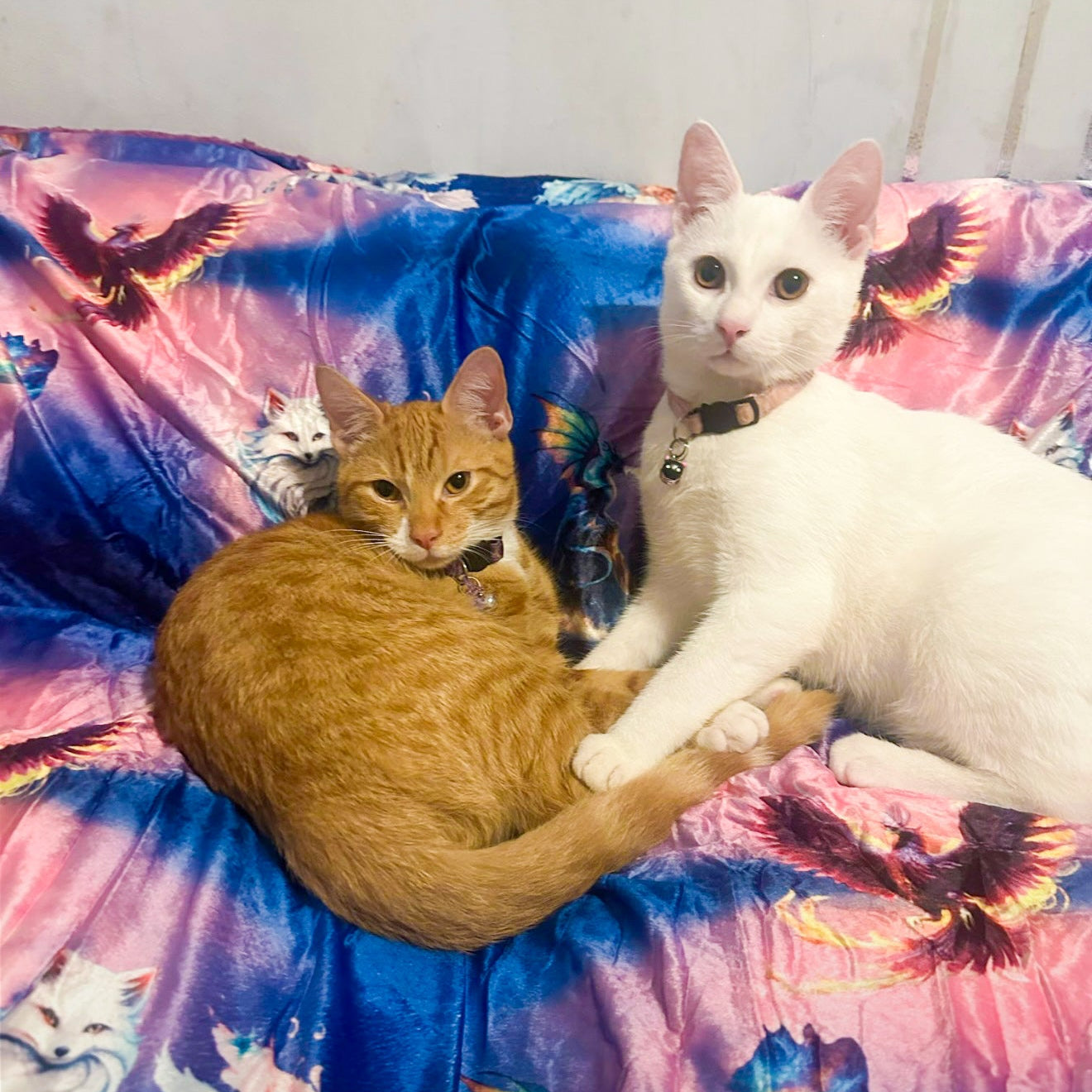 Mythical Creatures of the Phoenix Skies Snuggle Blanket