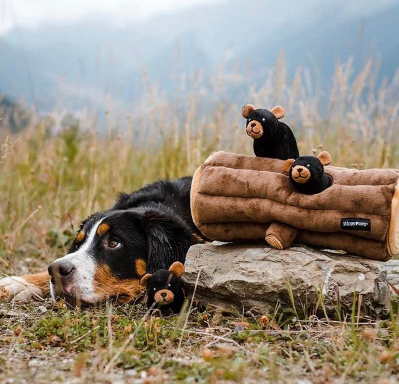Zippy burrows bears in log dog toy