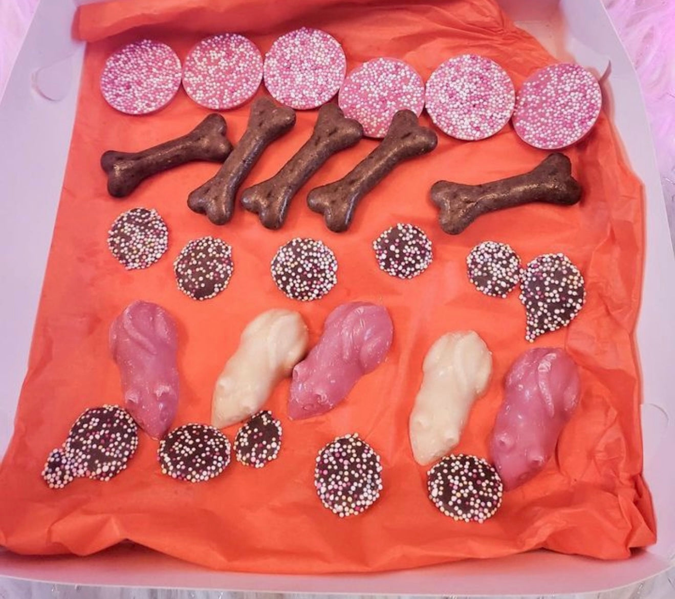 Doggy chocolate goody box