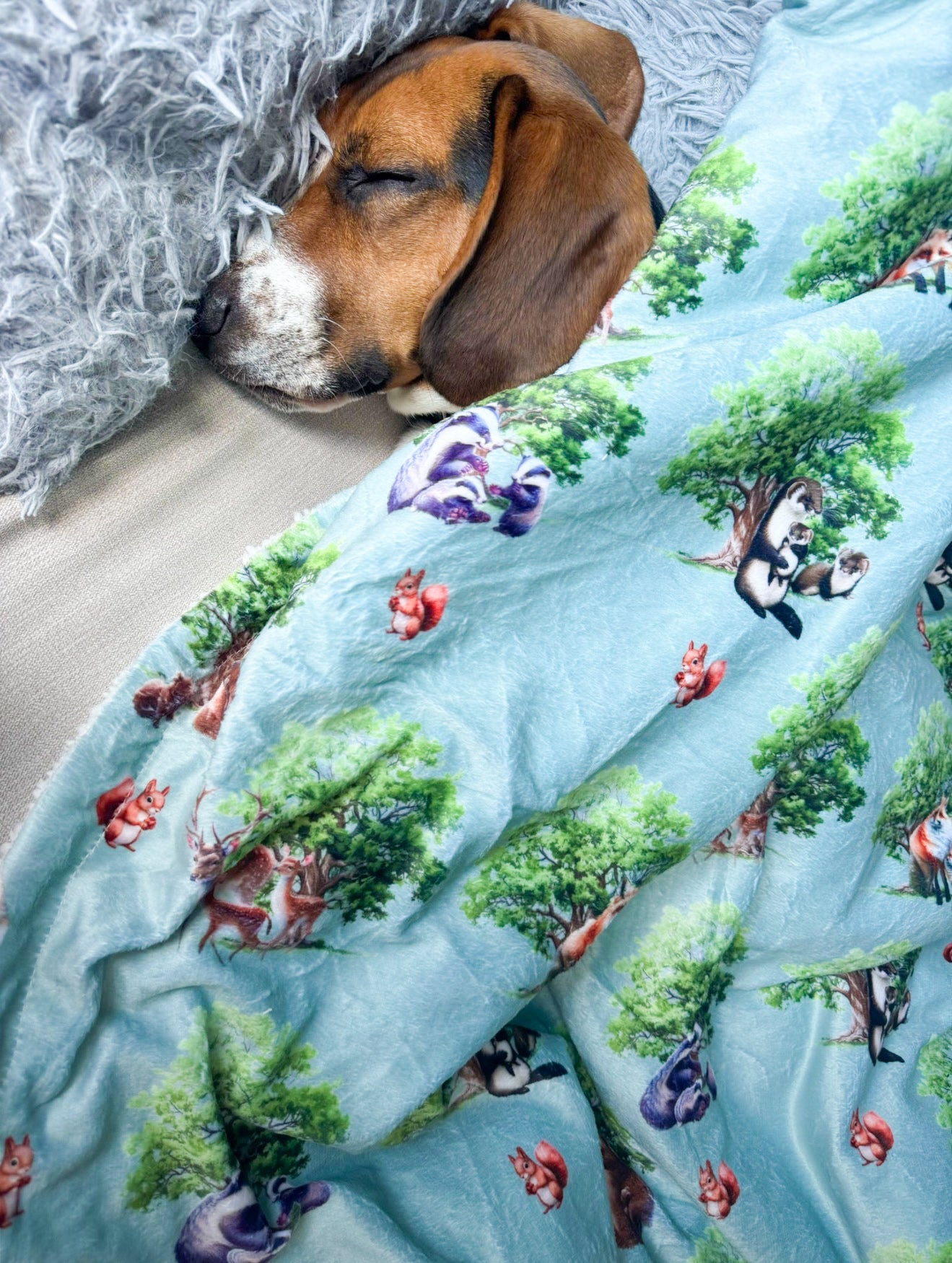 Paws of the Forest snuggle blanket