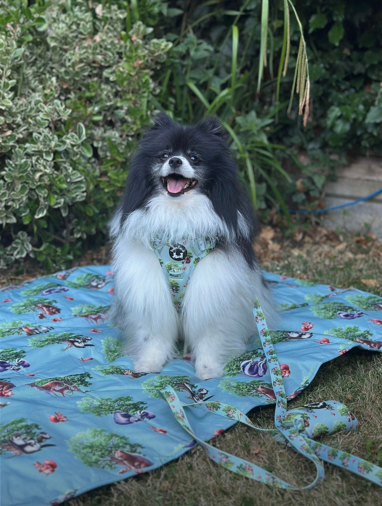Paws of the Forest travel mat /picnic mat