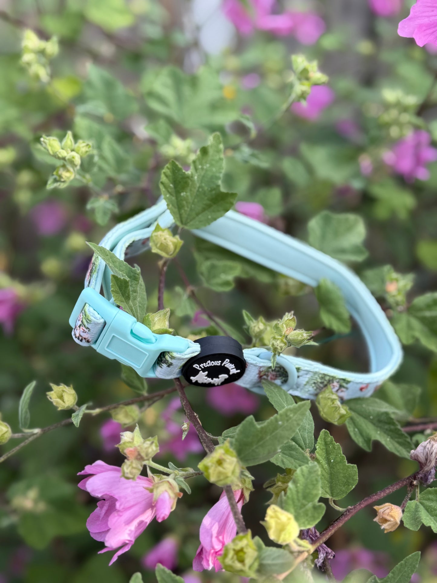 Paws of the forest Collar