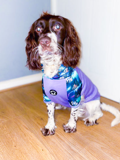 Luna’s Search for Aurora Hoodie