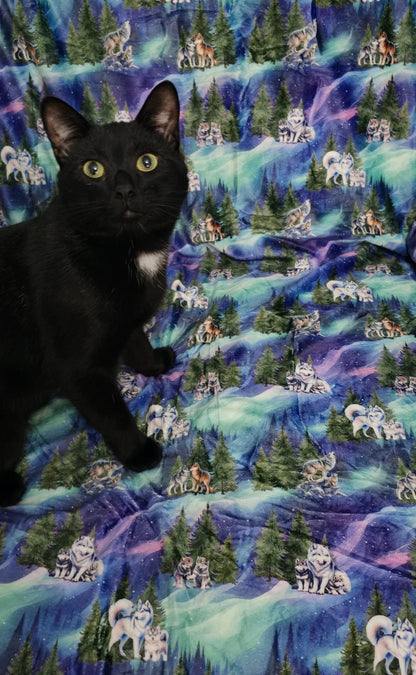 Luna’s Search for Aurora Snuggle Blanket