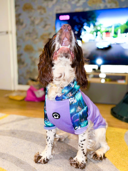 Luna’s Search for Aurora Hoodie