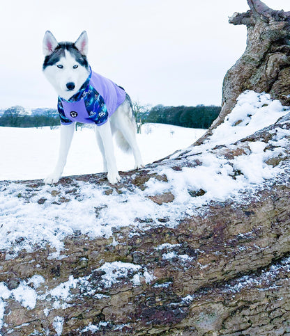Luna’s Search for Aurora Hoodie