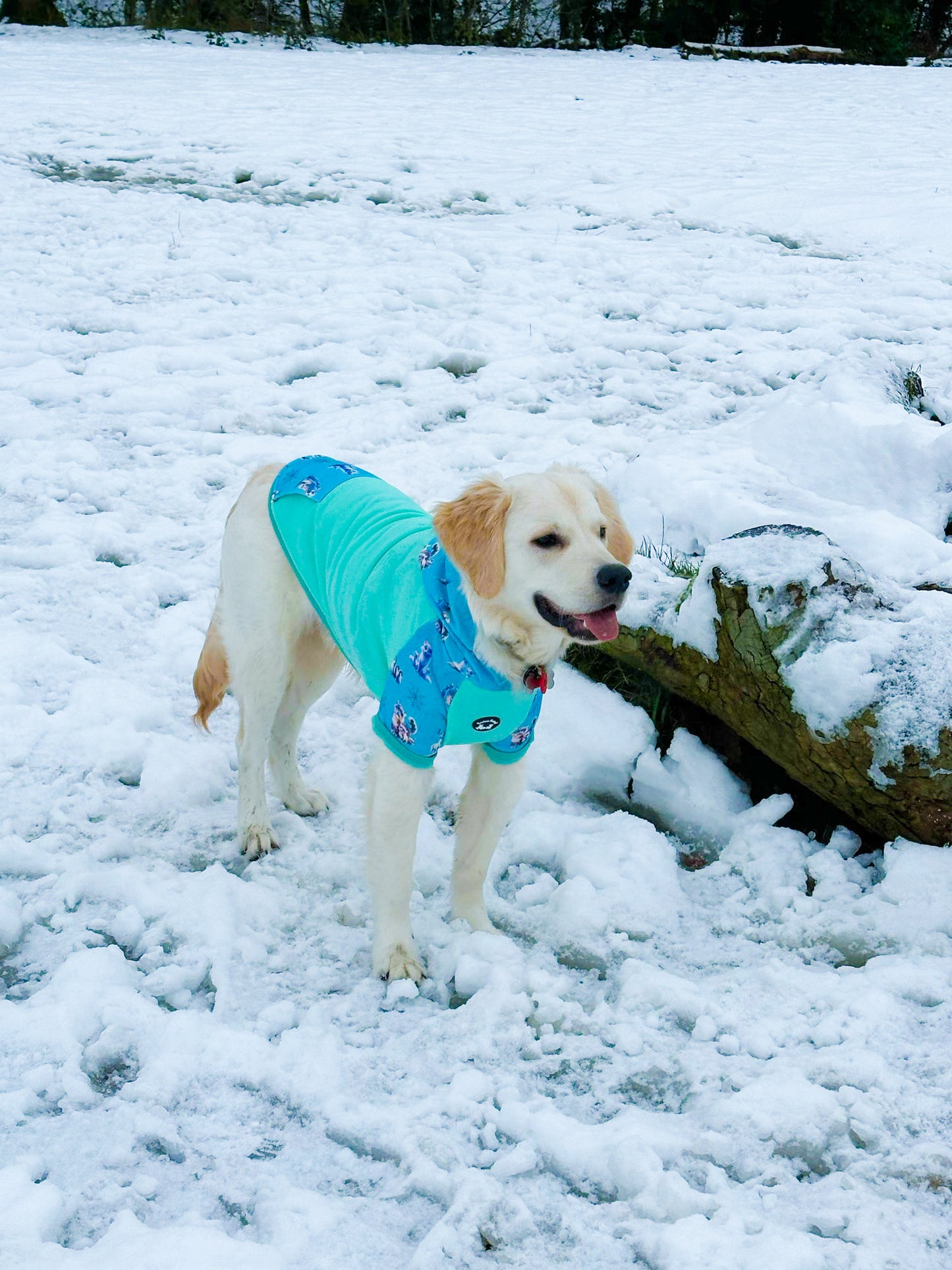 Glacier Glimmer hoodie