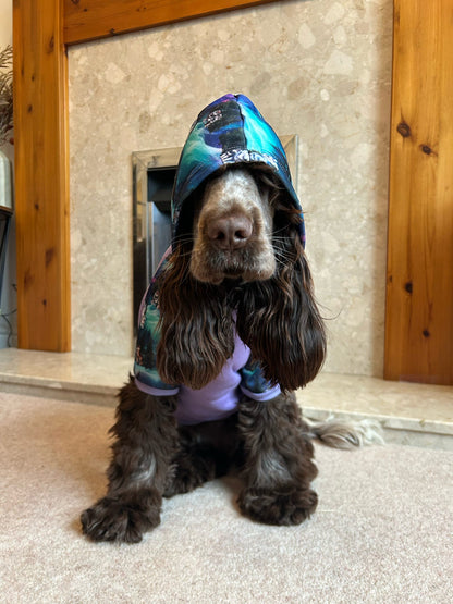 Luna’s Search for Aurora Hoodie