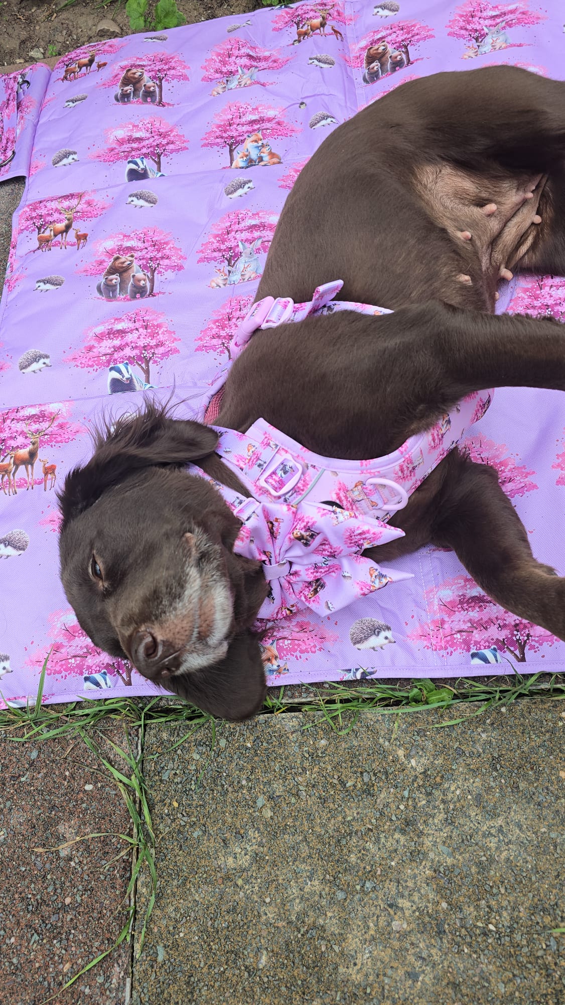 Fleur de Belle travel mat /picnic mat