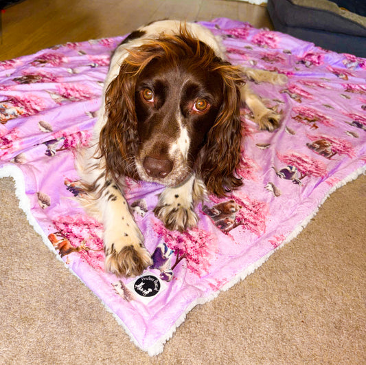 Fleur de Belle snuggle blanket