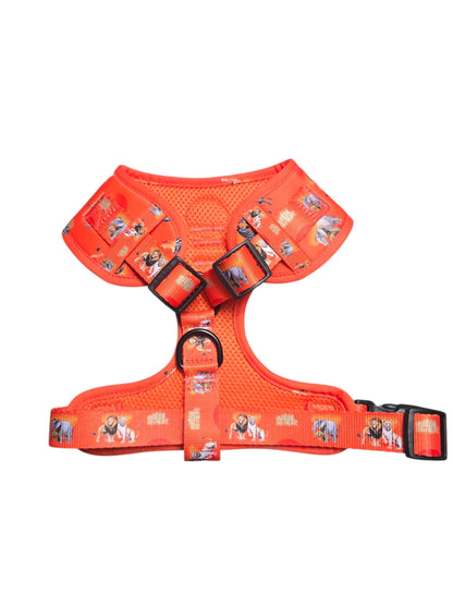 Chans' Wildest Dreams Adjustable Harness