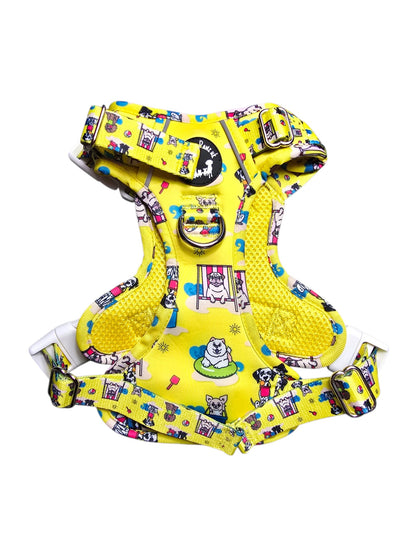 Paws Ashore Explorer Pawz Harness