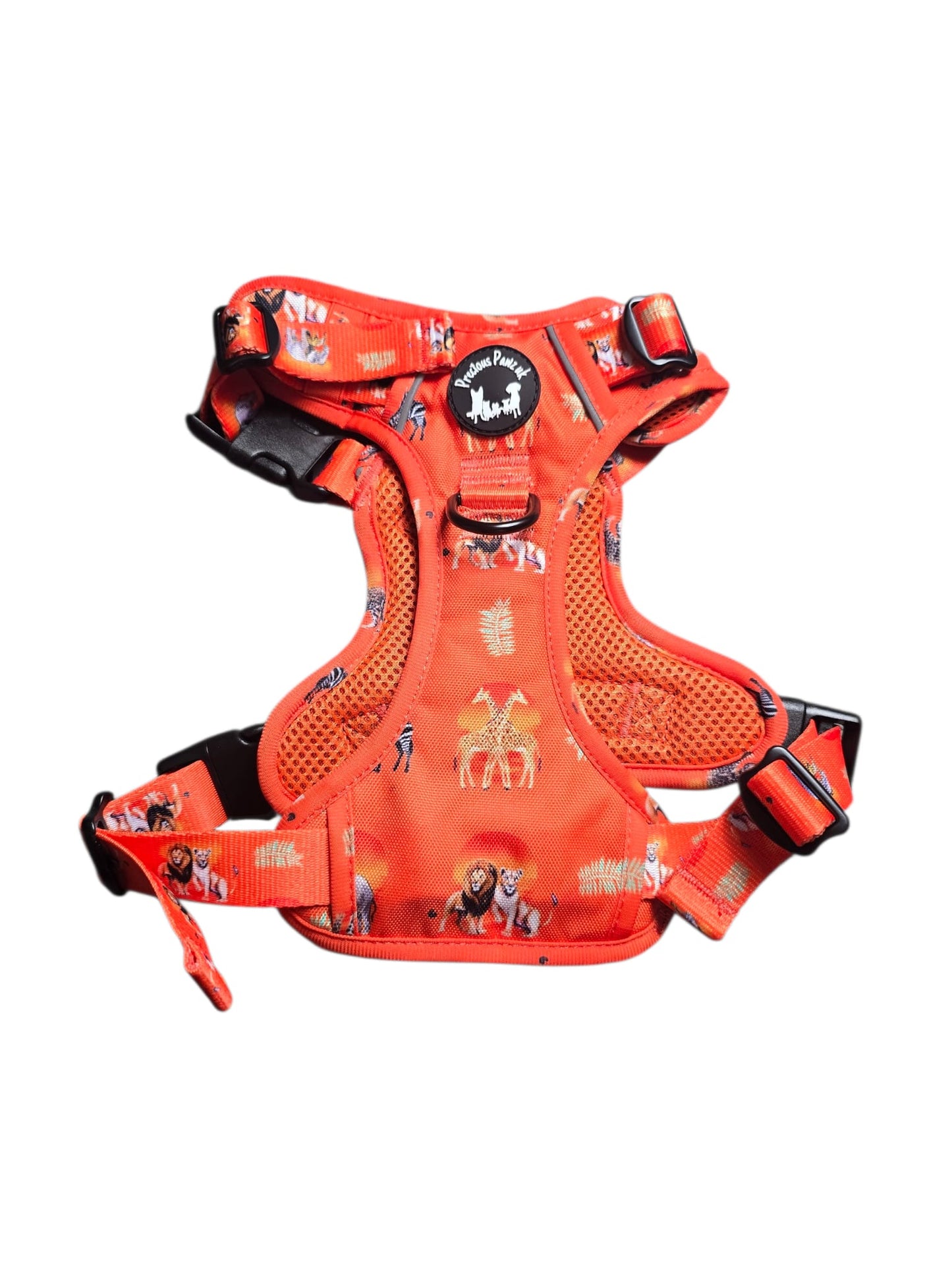 Chans' Wildest Dreams Explorer Pawz Harness