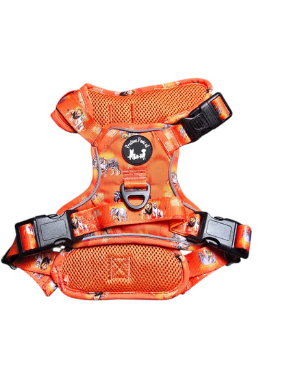 Chans' Wildest Dreams Explorer Pawz Harness