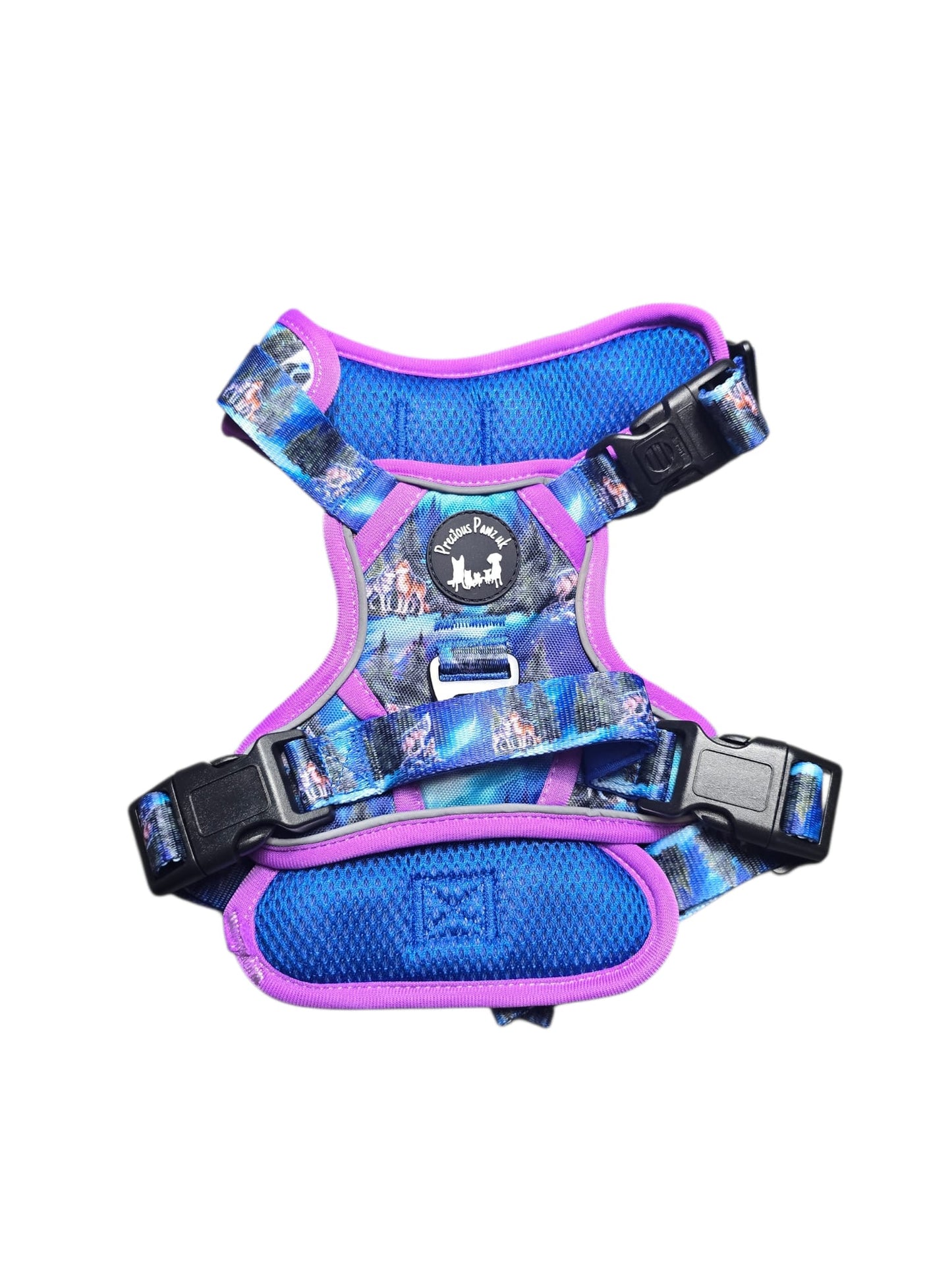 Luna's Search for Aurora Explorer Pawz Harness