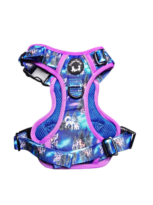 Luna's Search for Aurora Explorer Pawz Harness