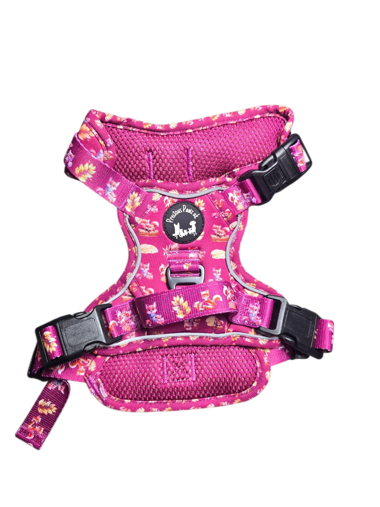 Mystical Fox Meadows Explorer Pawz Harness