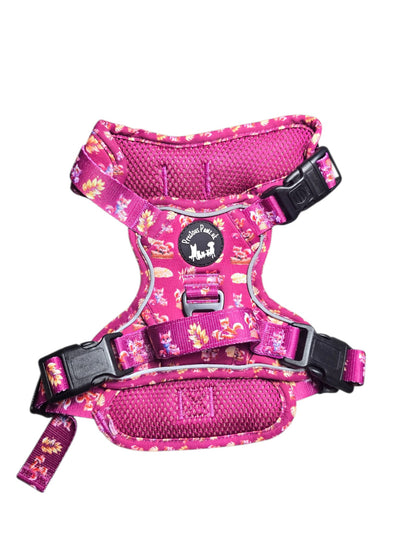 Mystical Fox Meadows Explorer Pawz Harness