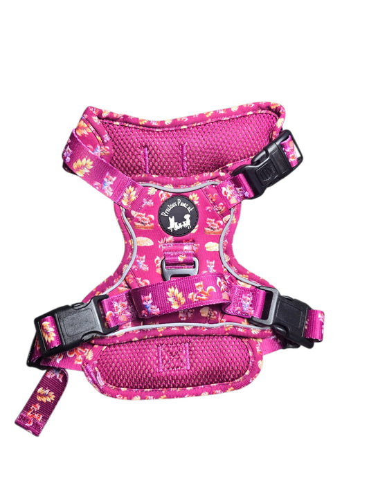 Mystical Fox Meadows Explorer Pawz Harness