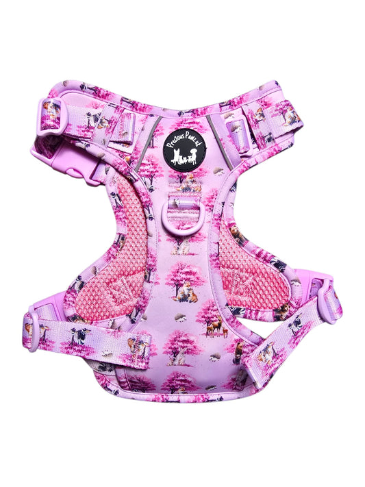 Fleur de Belle Explorer Pawz Harness