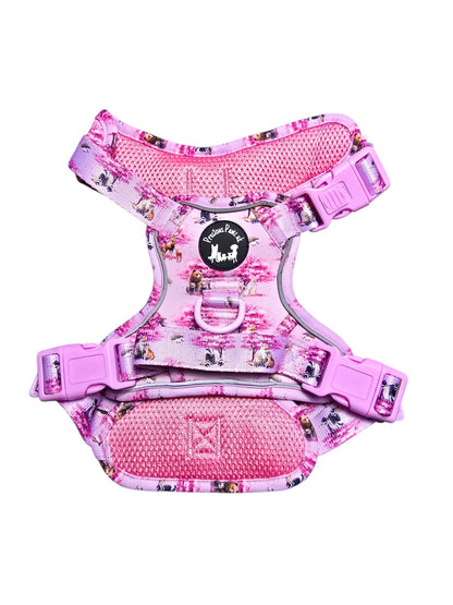 Fleur de Belle Explorer Pawz Harness