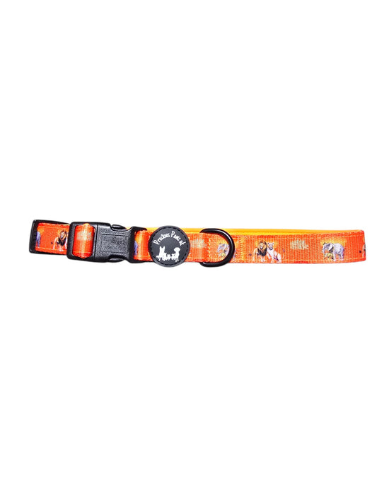 Chans' Wildest Dreams Collar