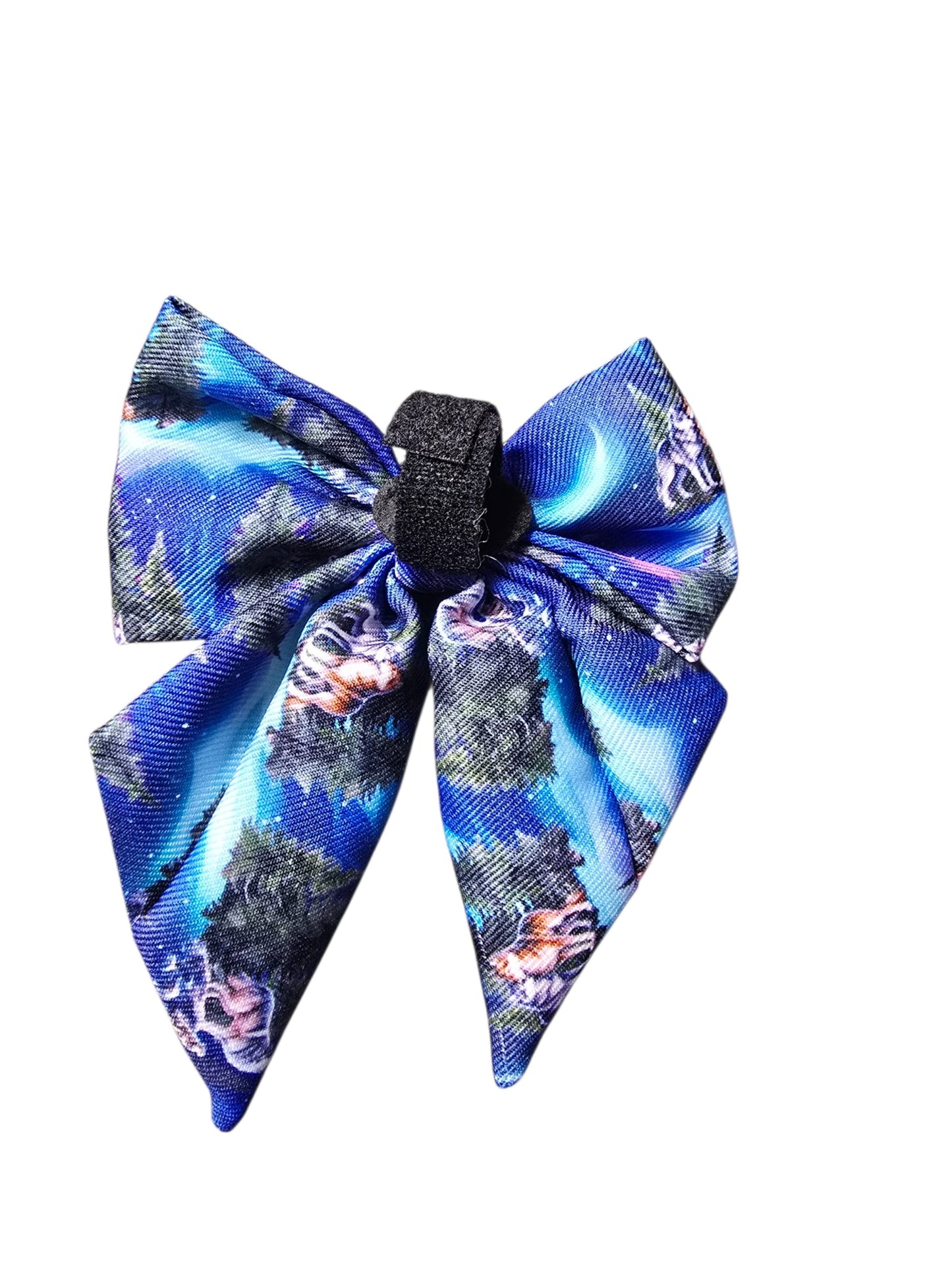 Luna's Search for Aurora Sailor Bow