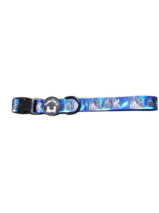 Luna's Search for Aurora Collar