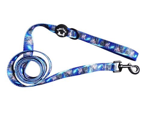 Luna's Search for Aurora Lead