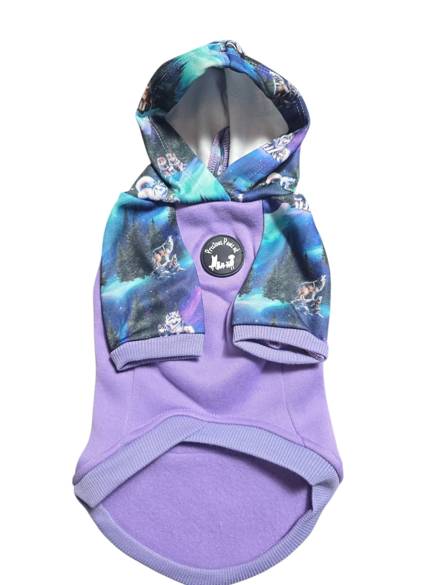 Luna’s Search for Aurora Hoodie