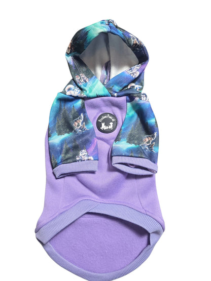 Luna’s Search for Aurora Hoodie