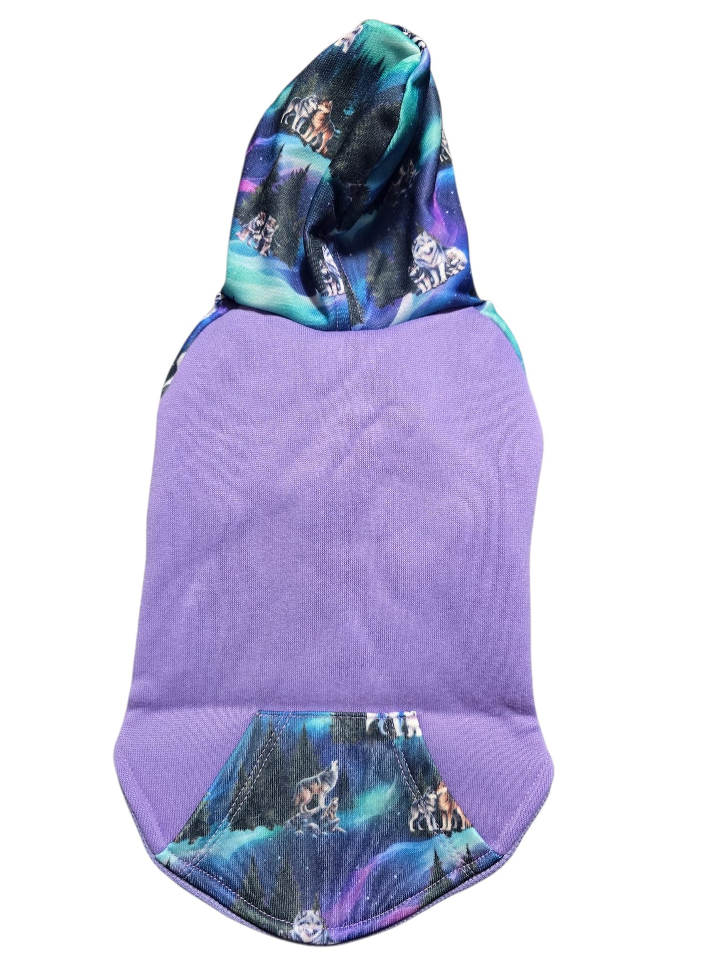 Luna’s Search for Aurora Hoodie