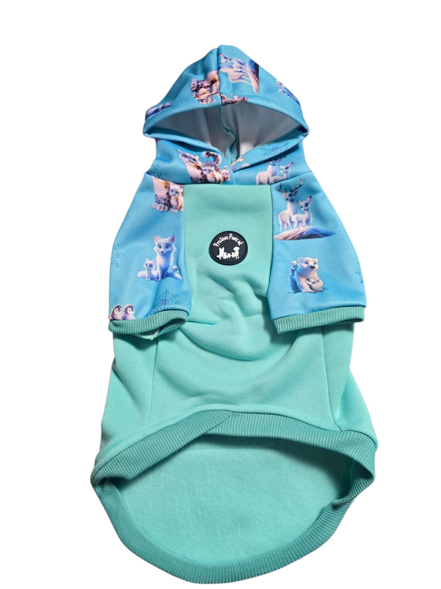 Glacier Glimmer Hoodie