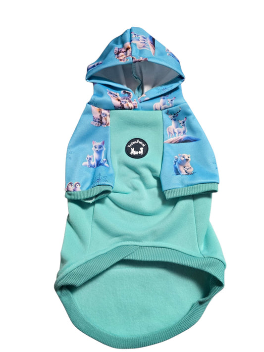 Glacier Glimmer Hoodie