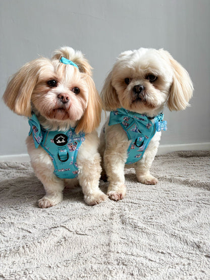 Glacier Glimmer Explorer Pawz Harness