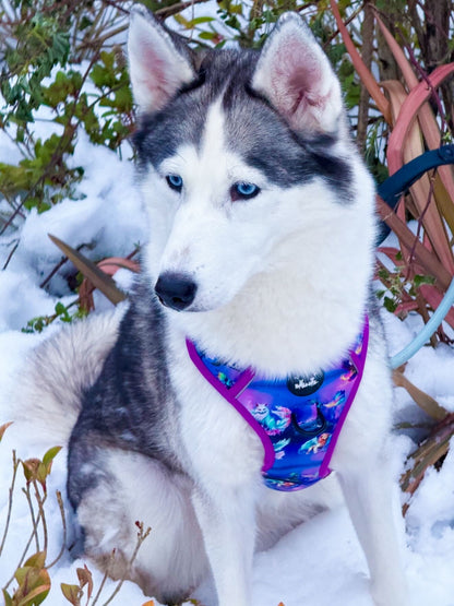 Mythical Creatures of the Phoenix Skies Explorer Pawz Harness