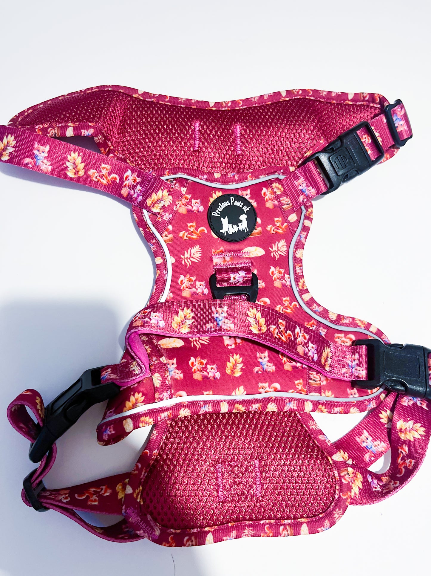 Mystical fox meadows Explorer Pawz harness