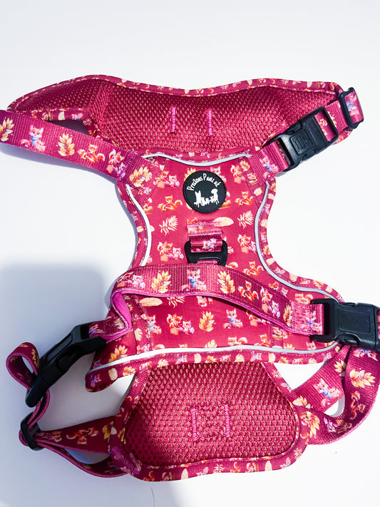 Mystical fox meadows Explorer Pawz harness