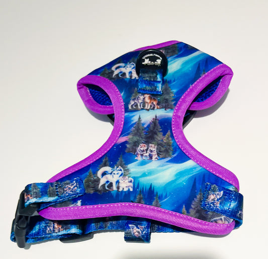 Luna's search for Aurora adjustable harness