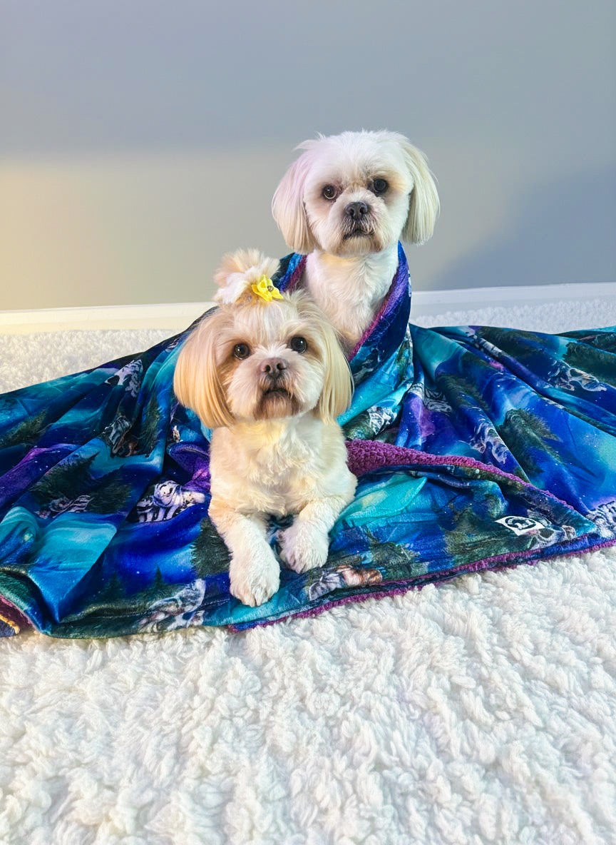 Luna’s Search for Aurora Human Snuggle Blanket