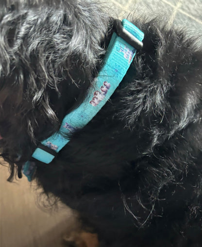 Glacier Glimmer Adjustable Collar