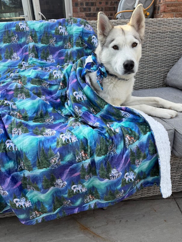 Luna’s search for Aurora snuggle blanket
