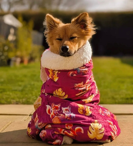 Mystical Fox Meadows snuggle blanket