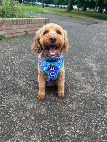 Tiger’s Explorer Pawz Harness